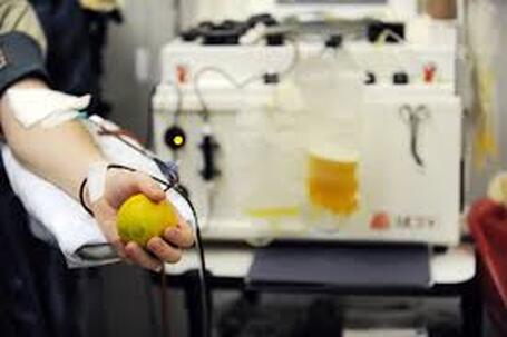 A Person Holding A Yellow Ball